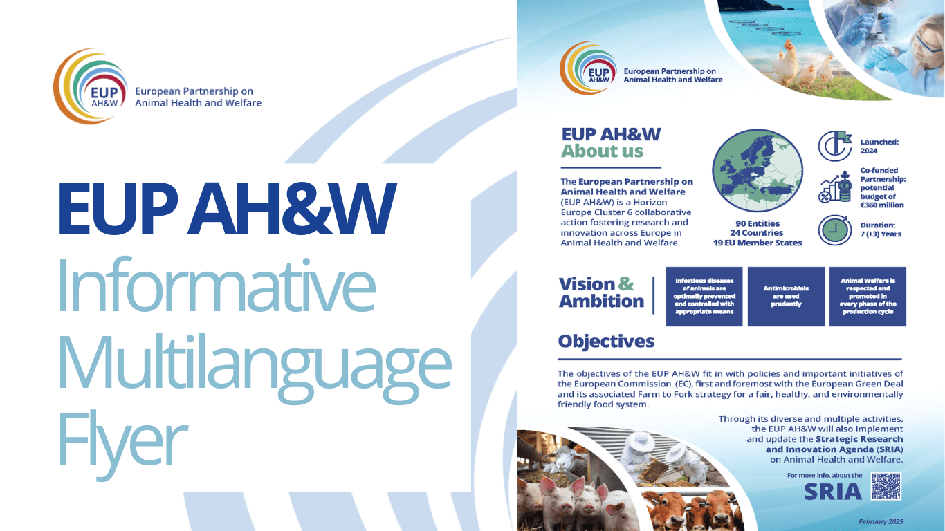 EUP AH&W Informative Multilanguage Flyer