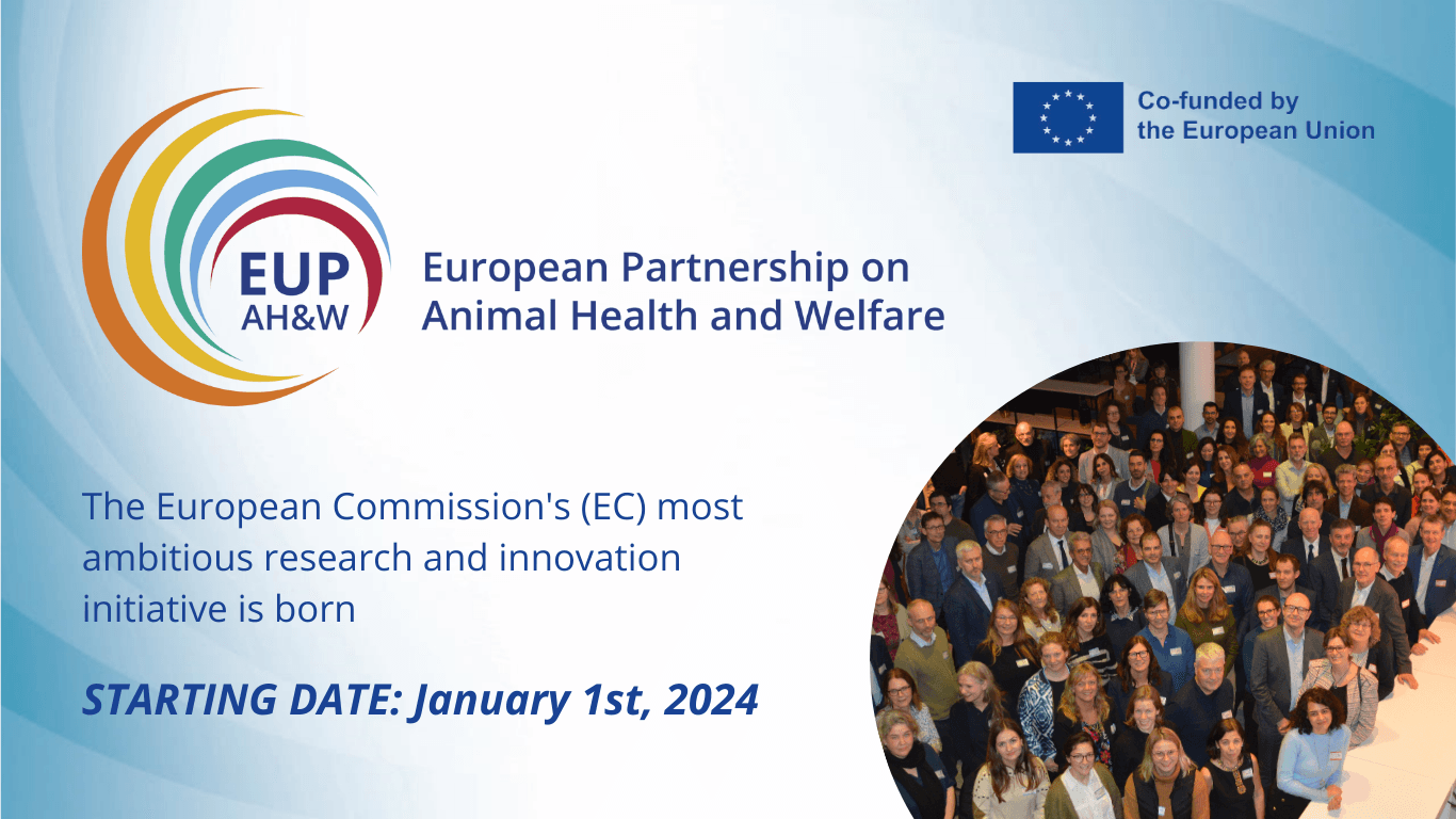 European partnership of scientists and funders helping to improve animal health and welfare