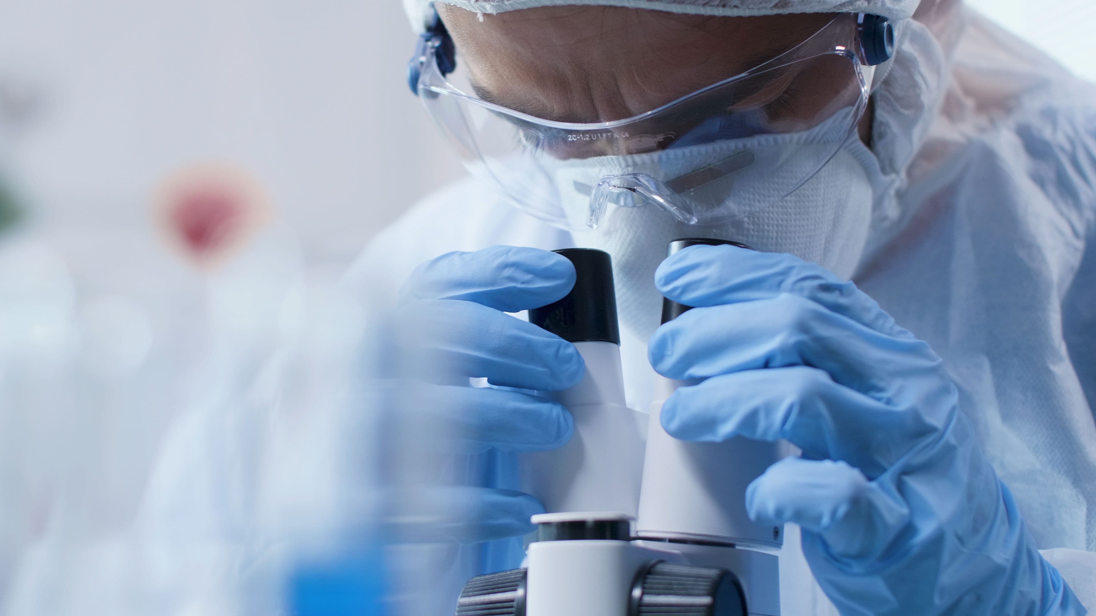 lab