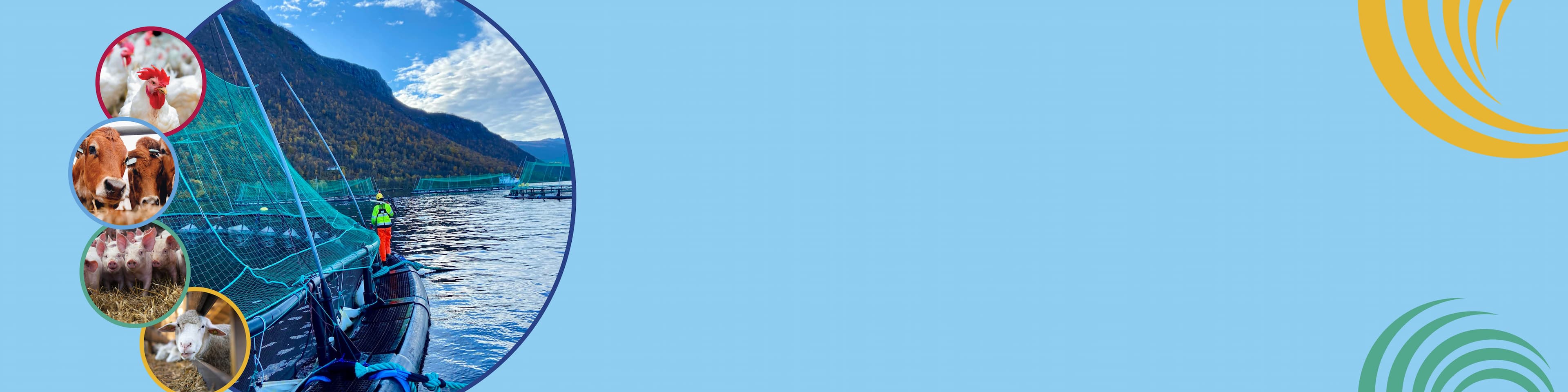 1st Scientific Conference