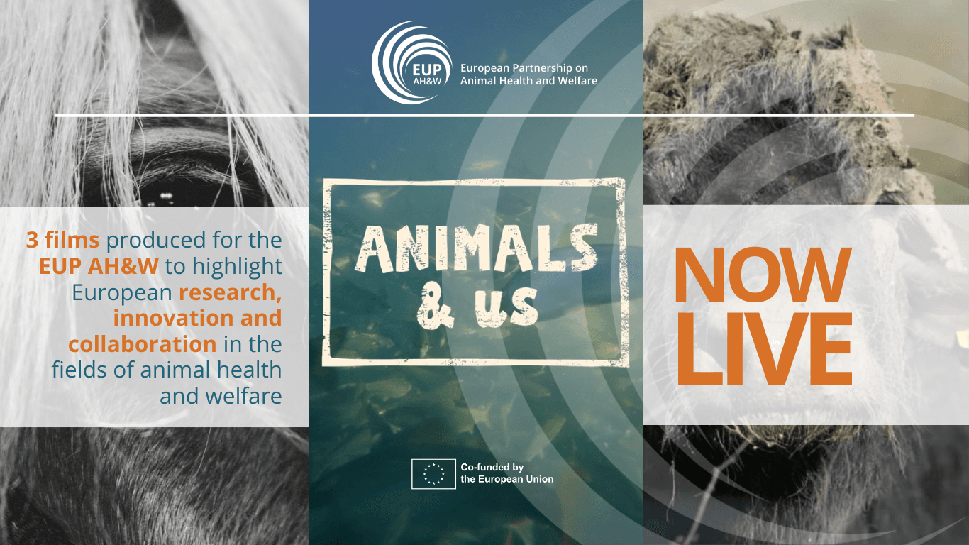 Animals & Us series: three films for the EUP AH&W