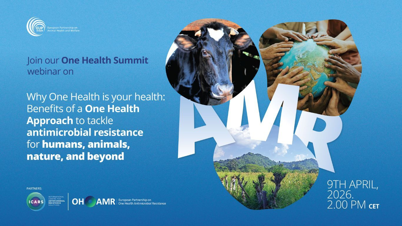 EUP OHAMR, ICARS AND EUP AHW together for the One Health Festival