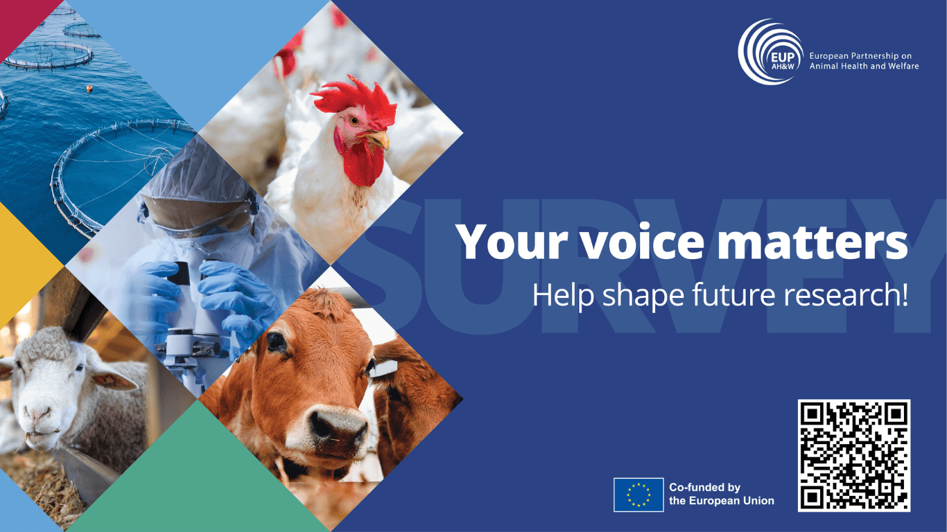 Help update the EUP AH&W’s Research Agenda: have your say on our updated SRIA